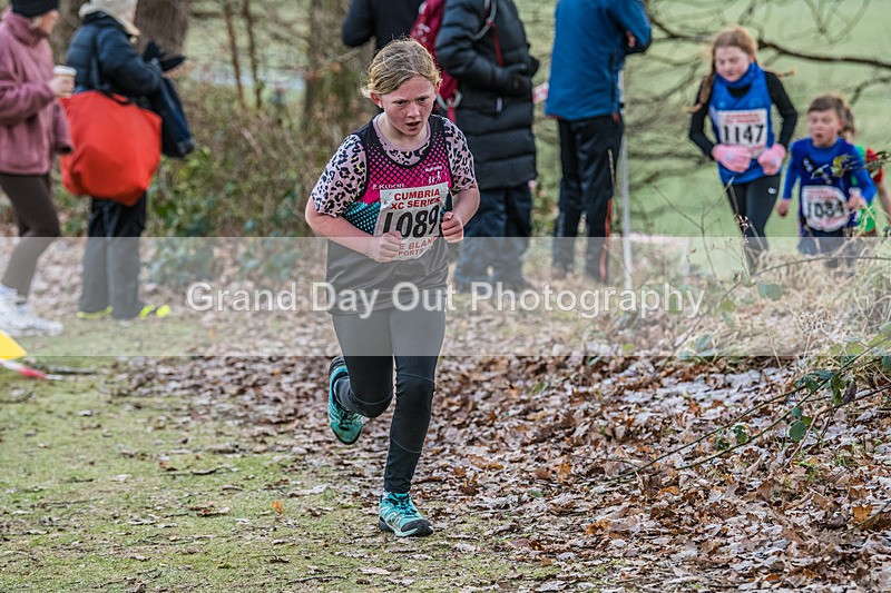 Cumbria XC-40 - Cumbria Cross Country Championships (Junior & Senior Races) Saturday 3rd January 2026