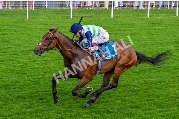 280625-Race 5-Turquino-0479 - Race 5 4.15pm Al Basti Equiworld Dubai Handicap
