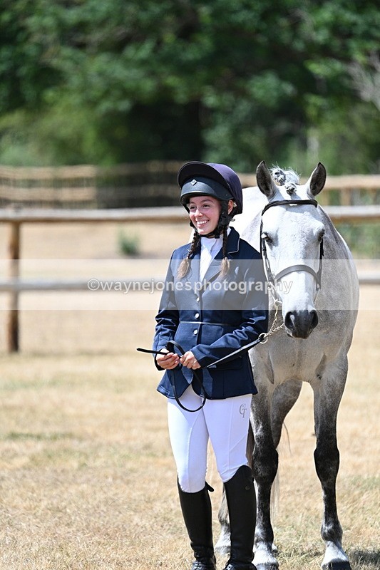WJ7_2019 - Class 4a Prettiest Mare 14.2hh and over hand