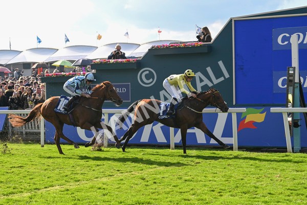 121024-Race 2-Bolster-2801 - Race 2 2.05pm Coral Daily Rewards Shaker Handicap