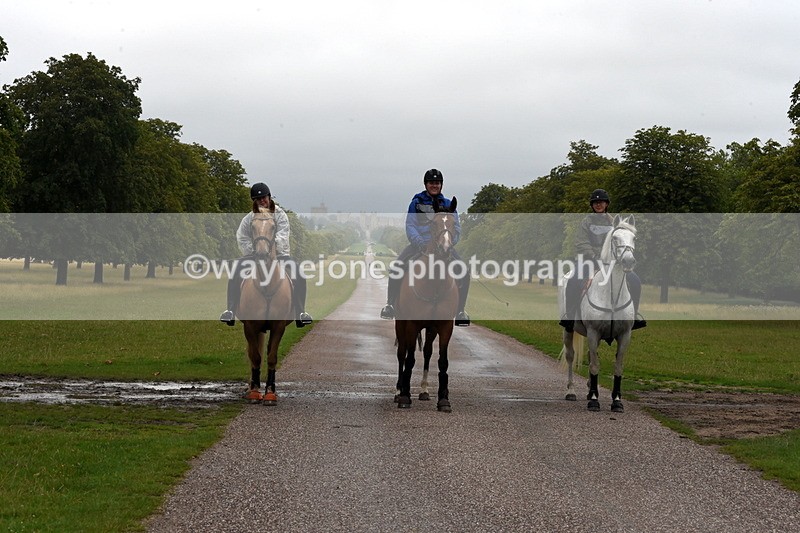 TT3_8312 - Time at Crossing 10:16 to 11:38