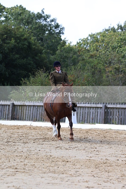 3E7A3601 - Class 7:  Preliminary Music