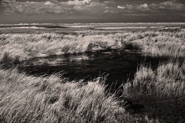  - Black and White