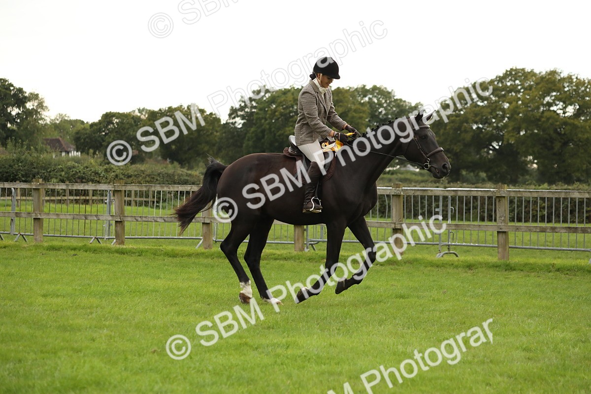 SBM_73892 - S41 - Ridden Equitation (Best Rider)