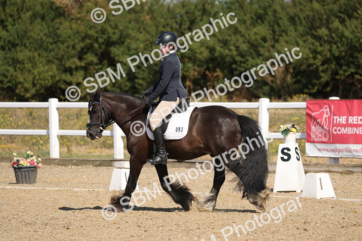 SBM_013537 - Class 1 - P5 Bronze 10.38.12.02