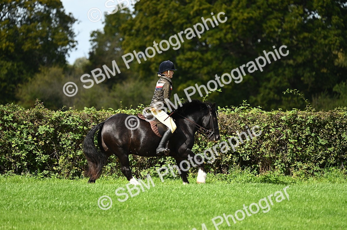 SBM_02683 - S3 - TSR Ridden Pony Showing