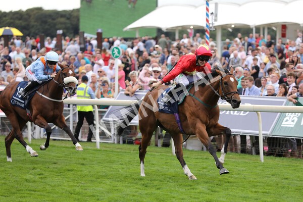 yr19082022r4-71 - Race 4 3.35pm Coolmore Wootton Bassett Nunthorpe Stakes (British Champion Series Race)