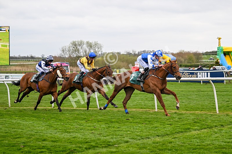 090425-Race 7-Mister Sox-0347 - Race 7