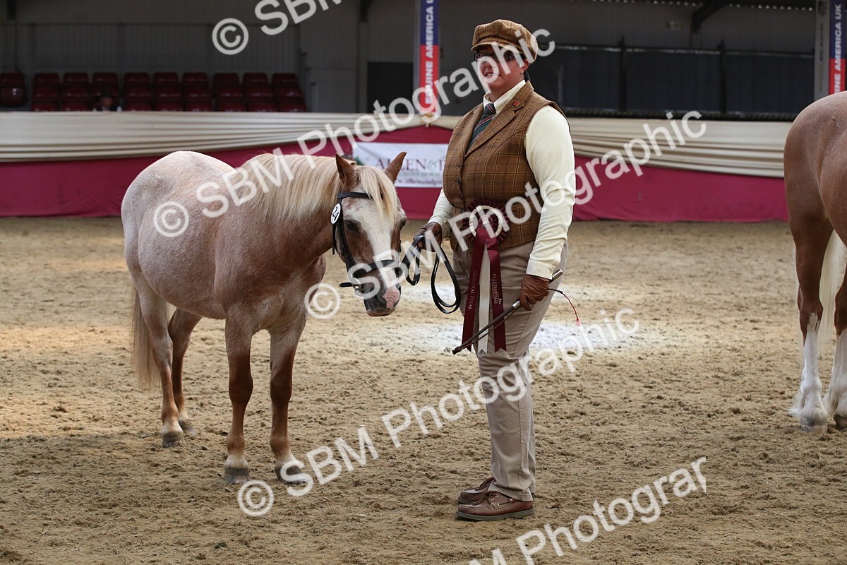 SBM_05432 - Class 8R - Regional IH Veteran