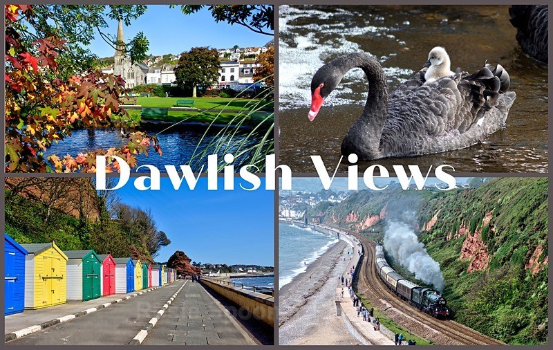 NEW - New Dawlish Views 2026 - FRIDGE MAGNETS