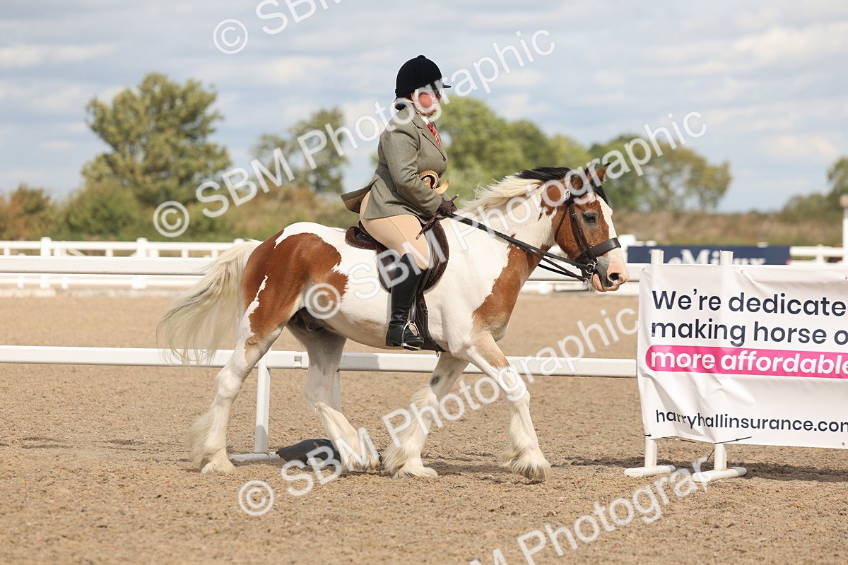 SBM_14881 - Class 308 - Ridden Coloured Horse