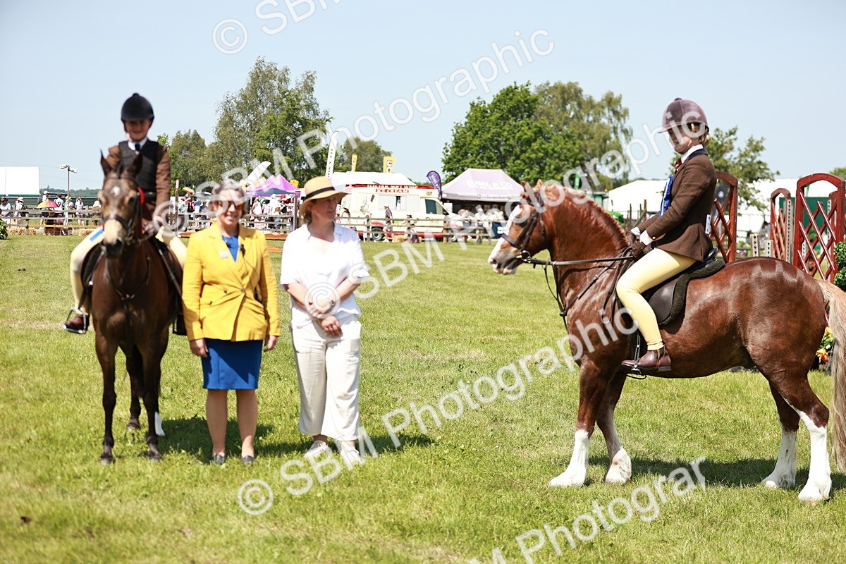 SBM_15819 - Class 108-109 - BSPS LIHS Open Gradle & Nursery Stakes