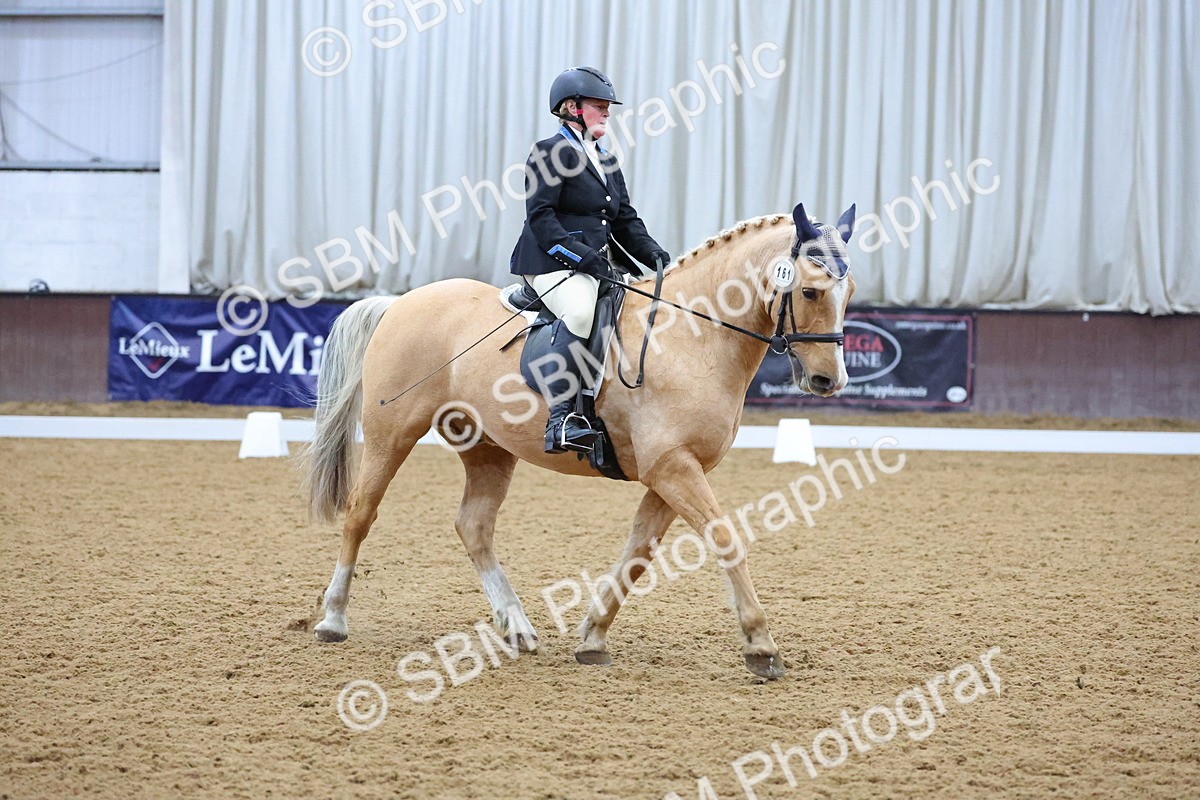 SBM_000896 - Novice