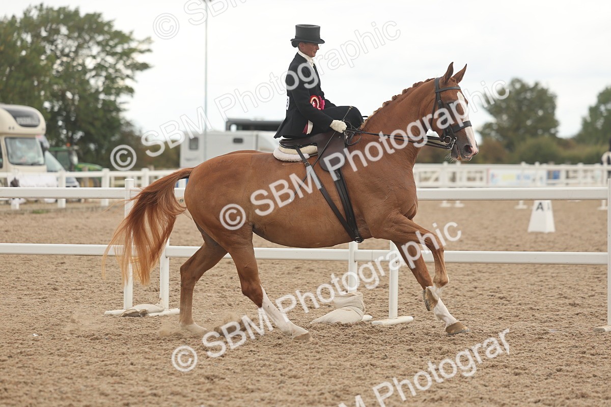 SBM_06305 - Class 23 - SSA - Classical