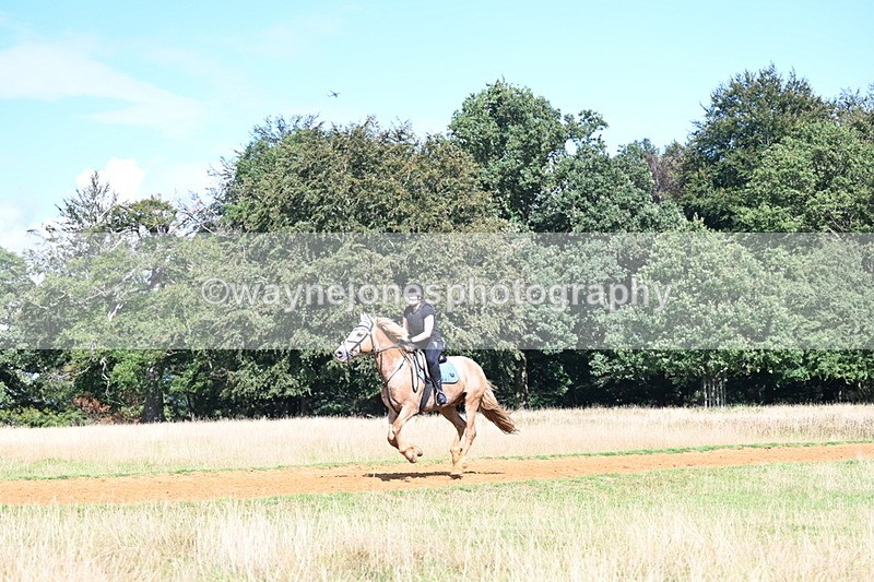 DSC_0142 - Time at Statue 15:58 to 16:05