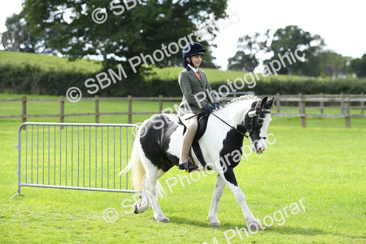 SBM_46686 - S12 - Family Horse & Pony