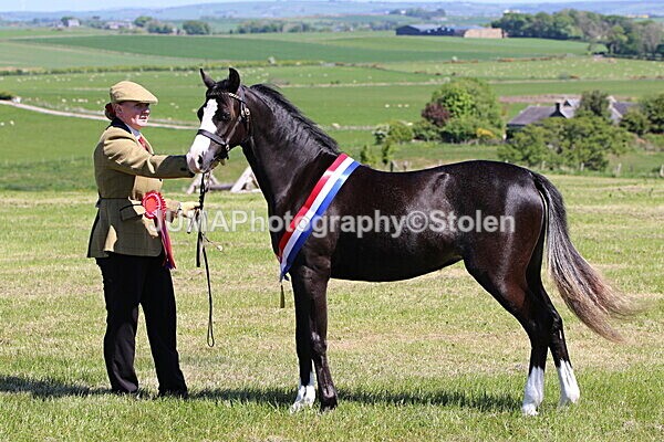 SIAL0478 - Indoor Classes