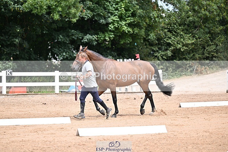 250716-132739-00532 - Trot Up 12.30 to 1.30