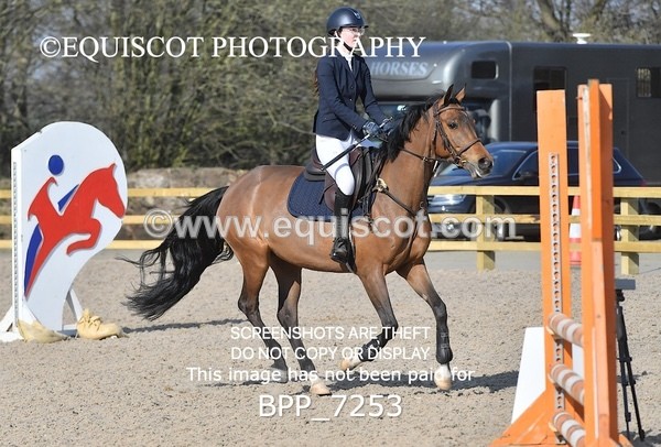 BPP_7253 - CLASS 1 Club/ Unaffiliated 80cms Open