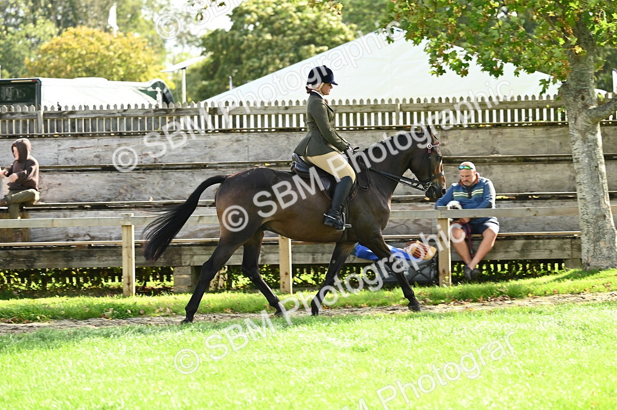 SBM_01790 - S2 - TSR Ridden Horse Showing