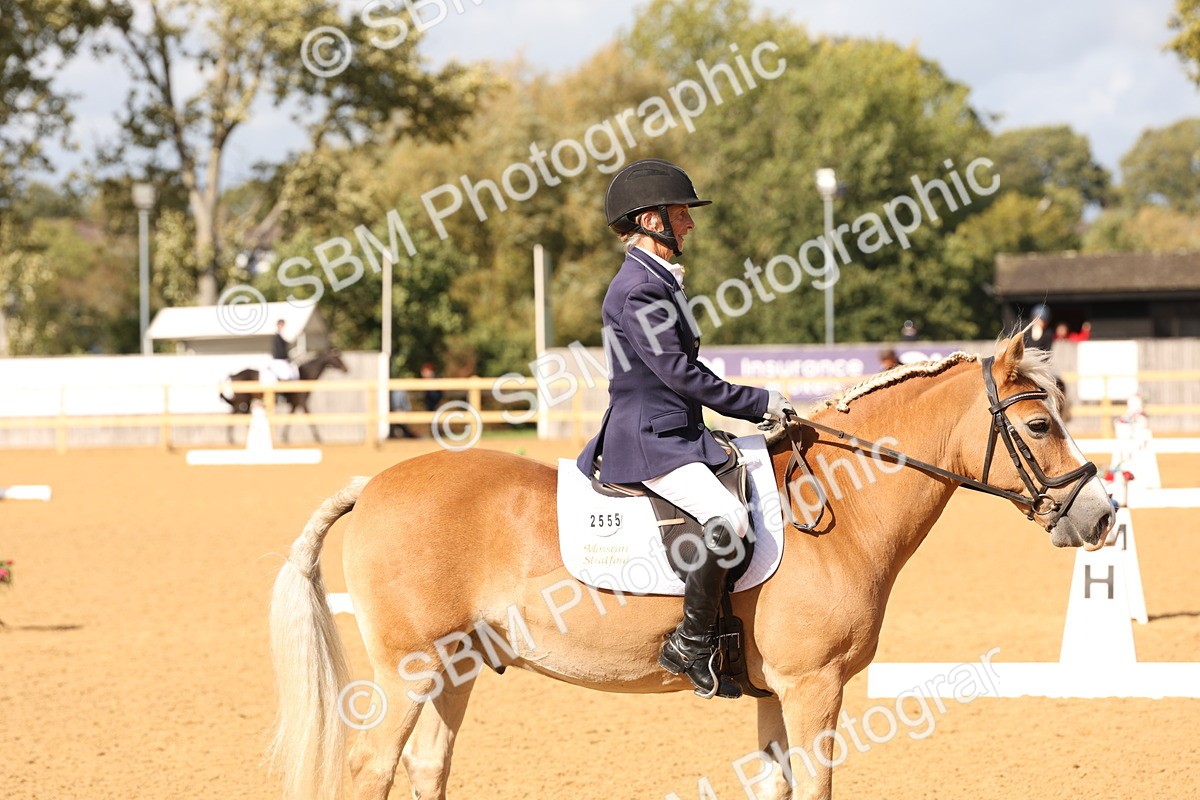 SBM_24632 - D17 - Grand Tour Championship Novice 3