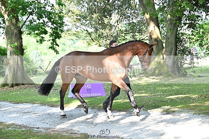 250521A-165130-01382 - C-269-Tom.Grant-NEW.NINI