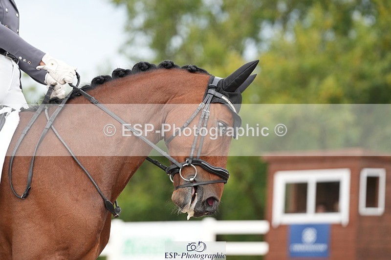 250907-110407-05974 - 040-Rianne.FultonSunset.Mojito