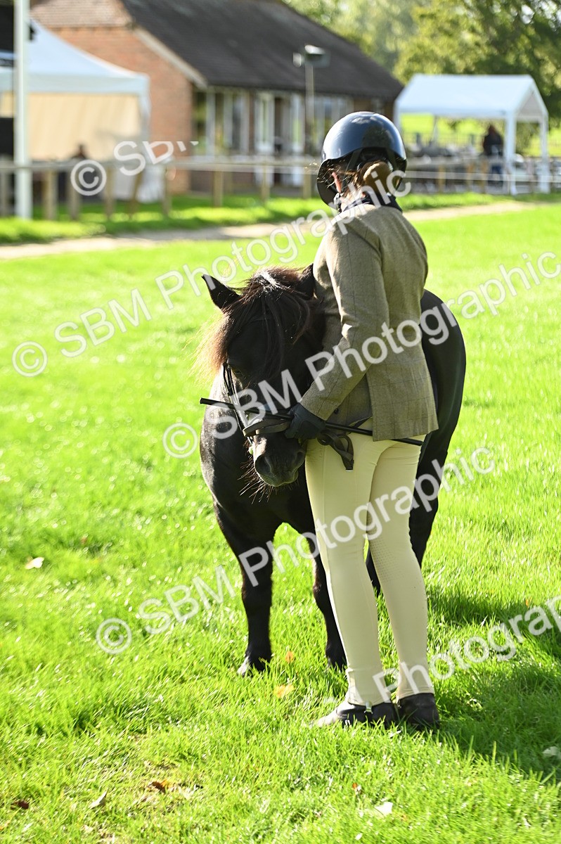 SBM_15880 - S1 - TSR in Hand Horse & Pony Showing