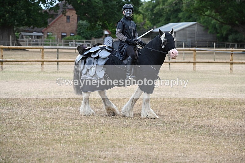 WJ6_8849 - Class 11 Fancy Dress