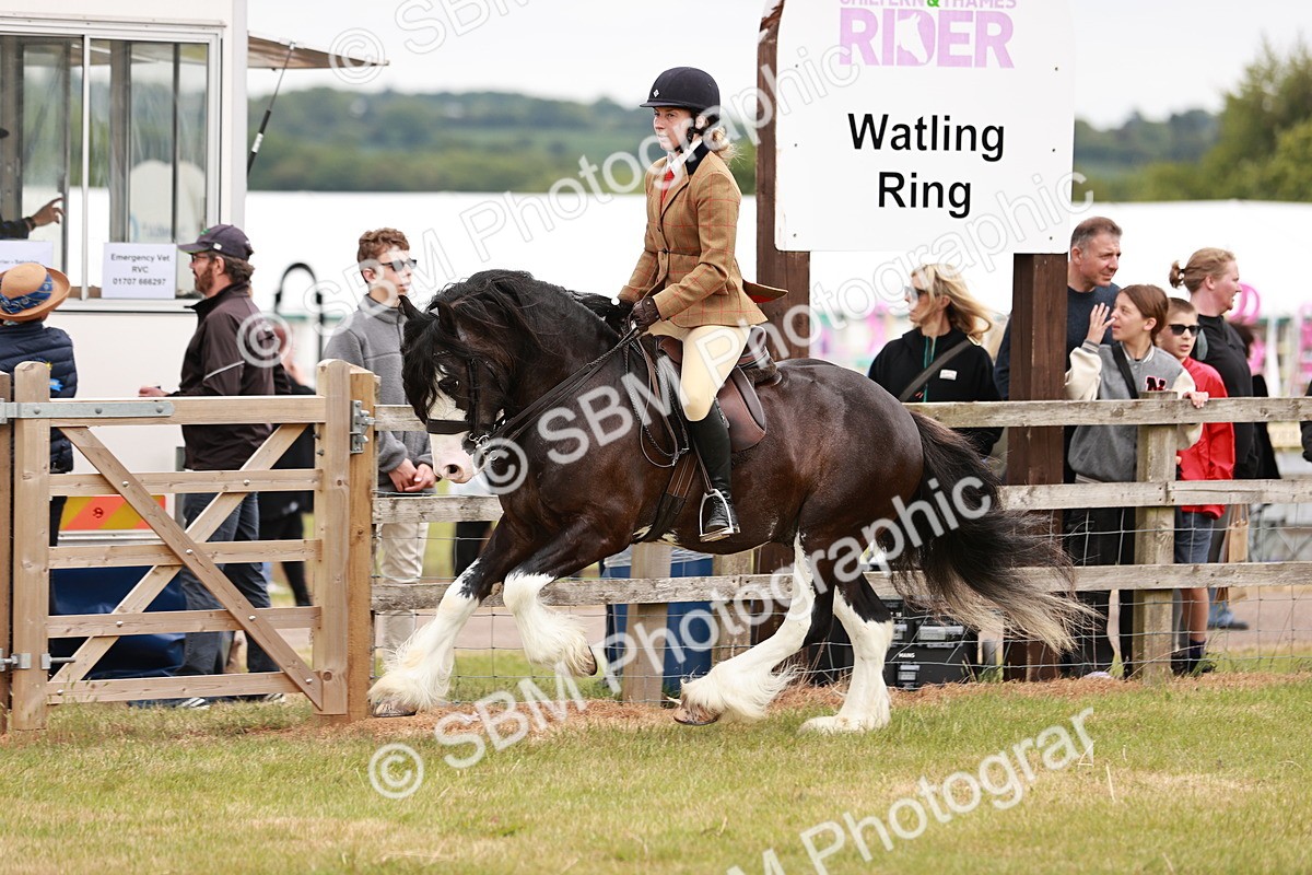 SBM_06163 - Class 39-41 TGCA In Hand and Ridden