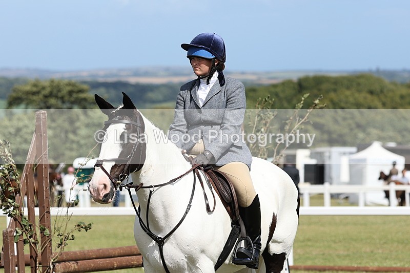 JPP_2433 - Class 19: Working Hunter 60cm