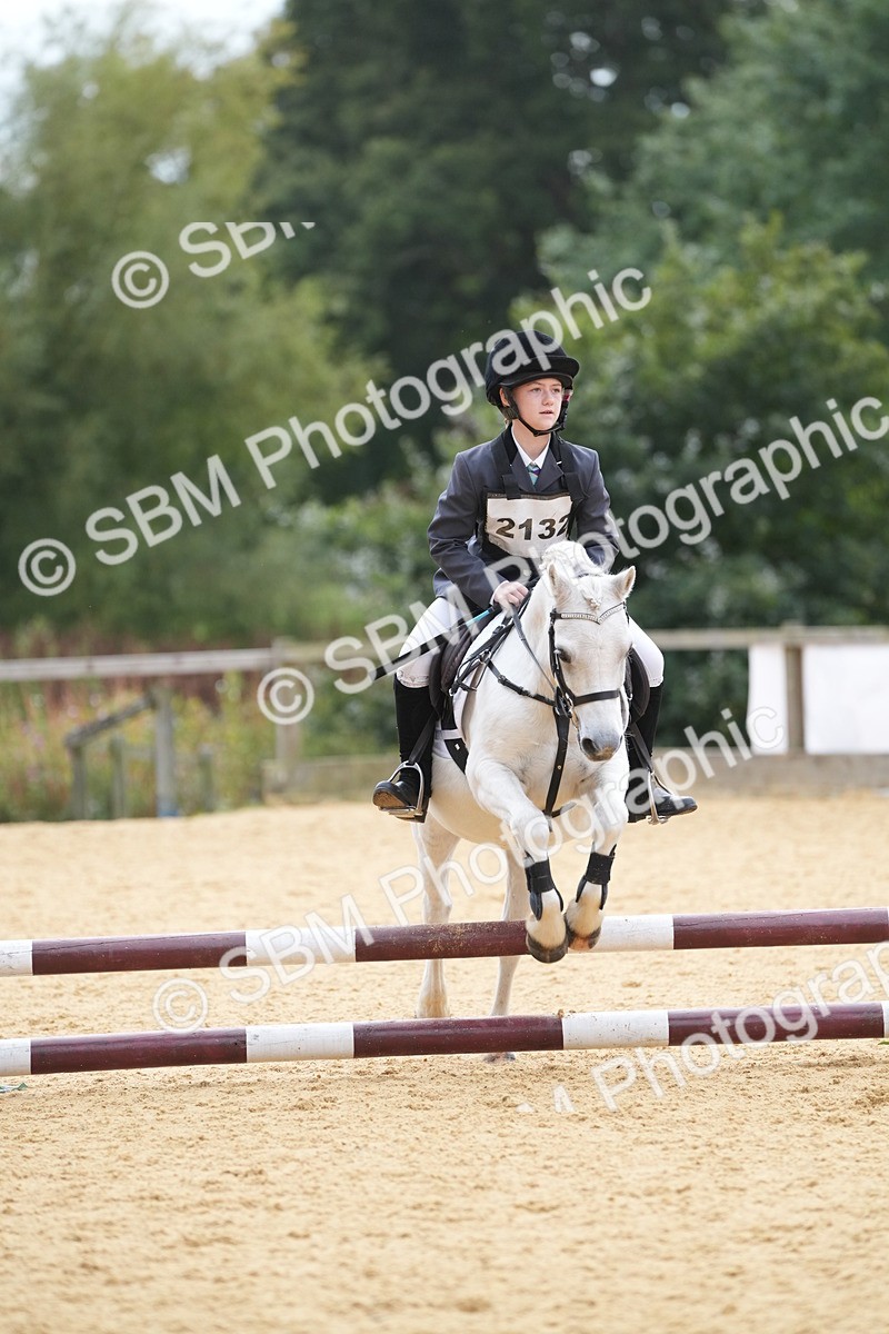 SBM_74777 - J4 - Mini Tour Junior Pony 45cm Championship