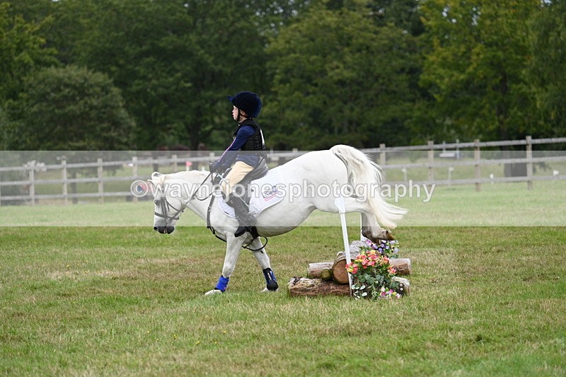 WJ7_7631 - 40cm Time 10:27 to 10:47