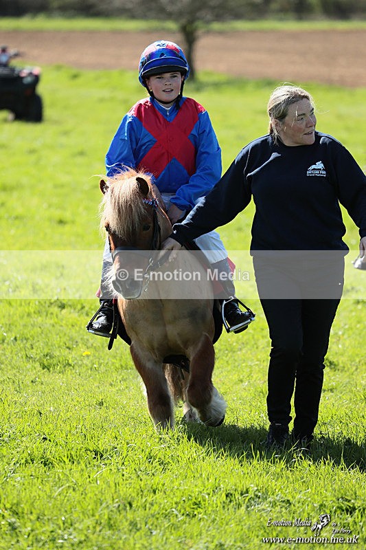 Shet 060426 346 - Shetland Pony Racing Paxford Races Easter Mon 06/04/26