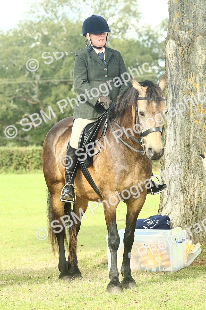 SBM_62679 - S63 - Other Coloured Horse Ridden
