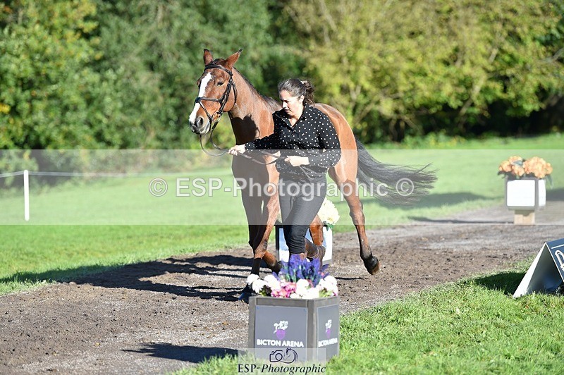 231022-101518-22345 - 470-DVΓÇÖS.ROCKY-Lauren.Collard-TrotUp+SJ