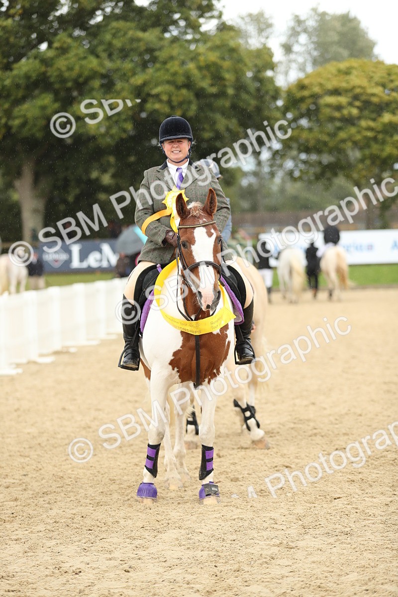 SBM_10015 - J36 - Veteran Rider 70cm