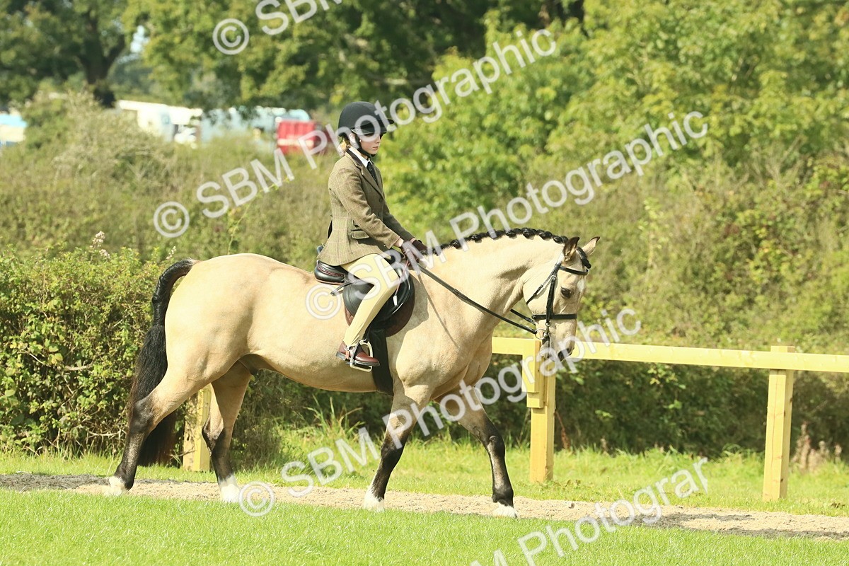 SBM_67383 - S56 - Coloured Pony Ridden
