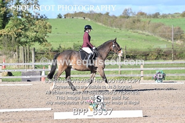 BPP_8937 - SHORT ARENA