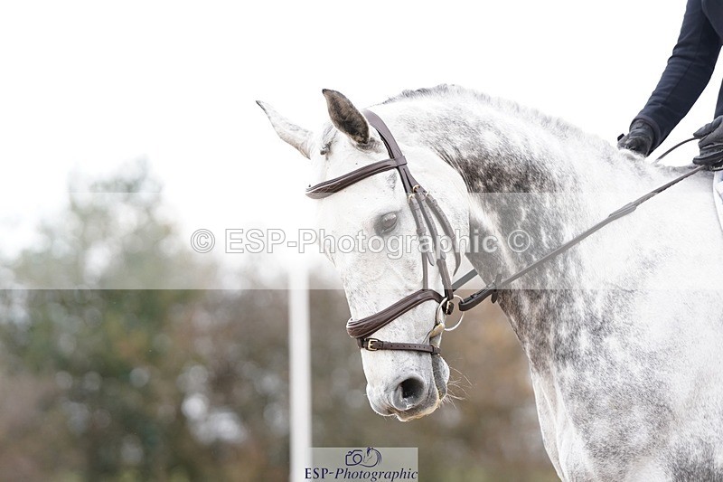 250322-120740-00296 - DR Novice 2 Test