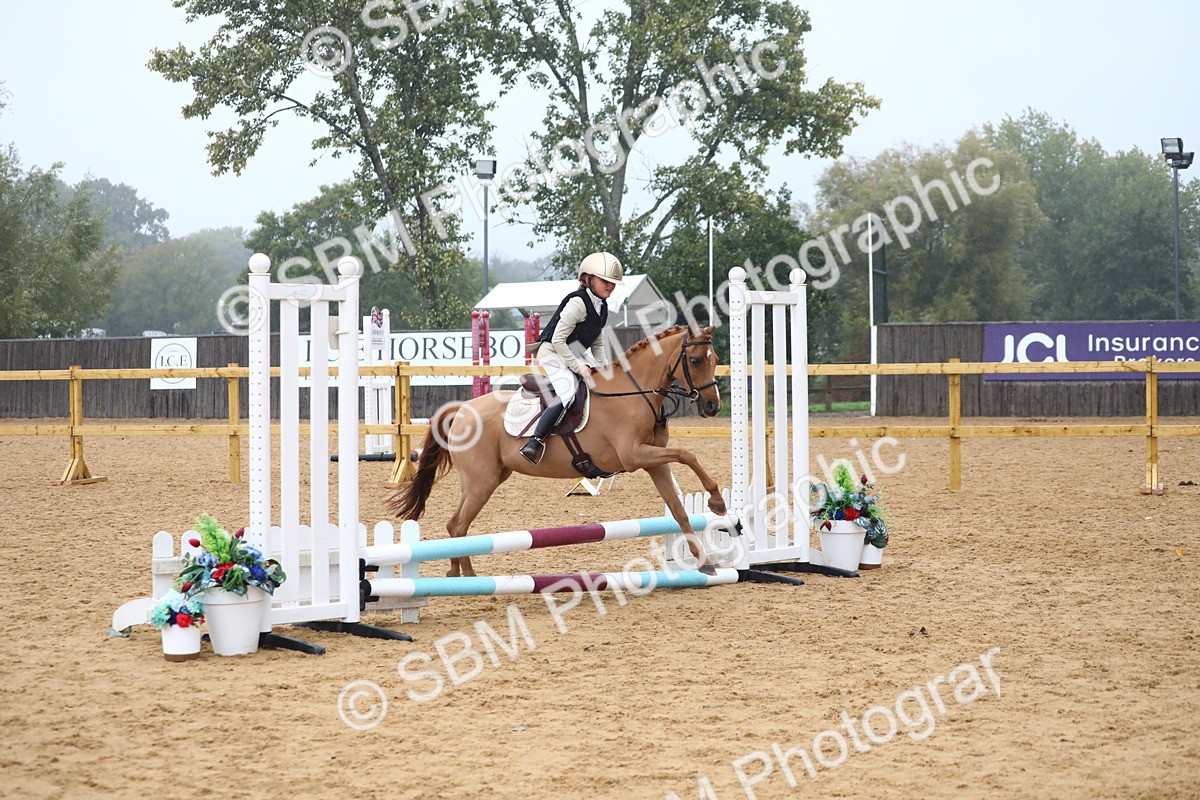 SBM_71735 - J4 - Mini Tour Junior Pony 45cm Championship