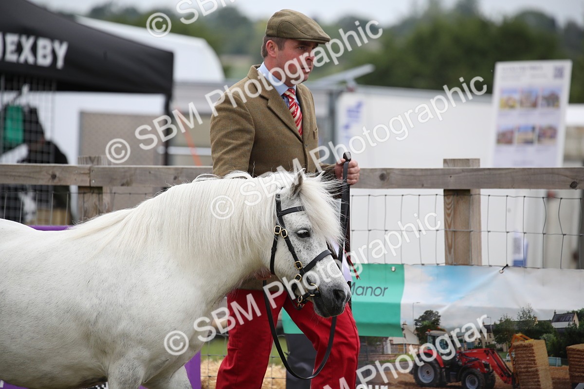 SBM_09717 - Ch 50 - Price Family Supreme In Hand