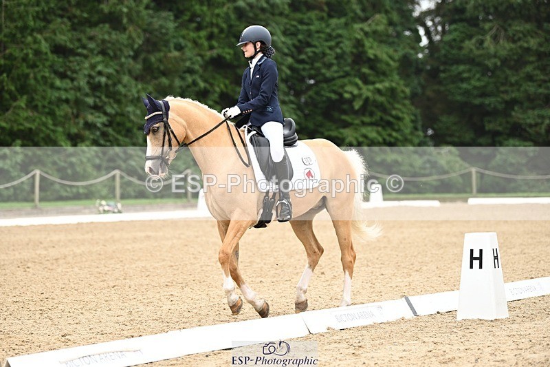 240811-122827-05836 - 301-Sophia.Longworth-Don.Deluxe