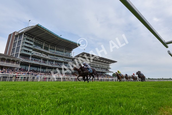 160524-Race 6-Andesite-2-2 - Race 6 4.45pm Frank Whittle Partnership ebfstallions.com Novice Stakes