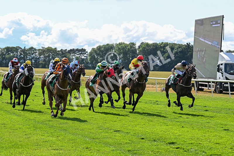 020725-Race 5-Mereside Madness-2583 - Race 5