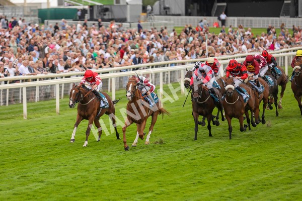 280723-Race 4-Cairn Gorm-2872 - Race 4 6.40pm Tomahawk Restaurants Handicap