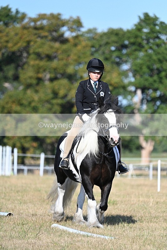 WJ7_8838 - Time 09:00 to 09:24