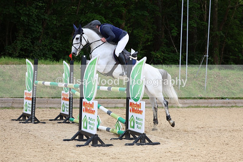 3E7A9639 - Class 9: Senior Foxhunter/1.20 open