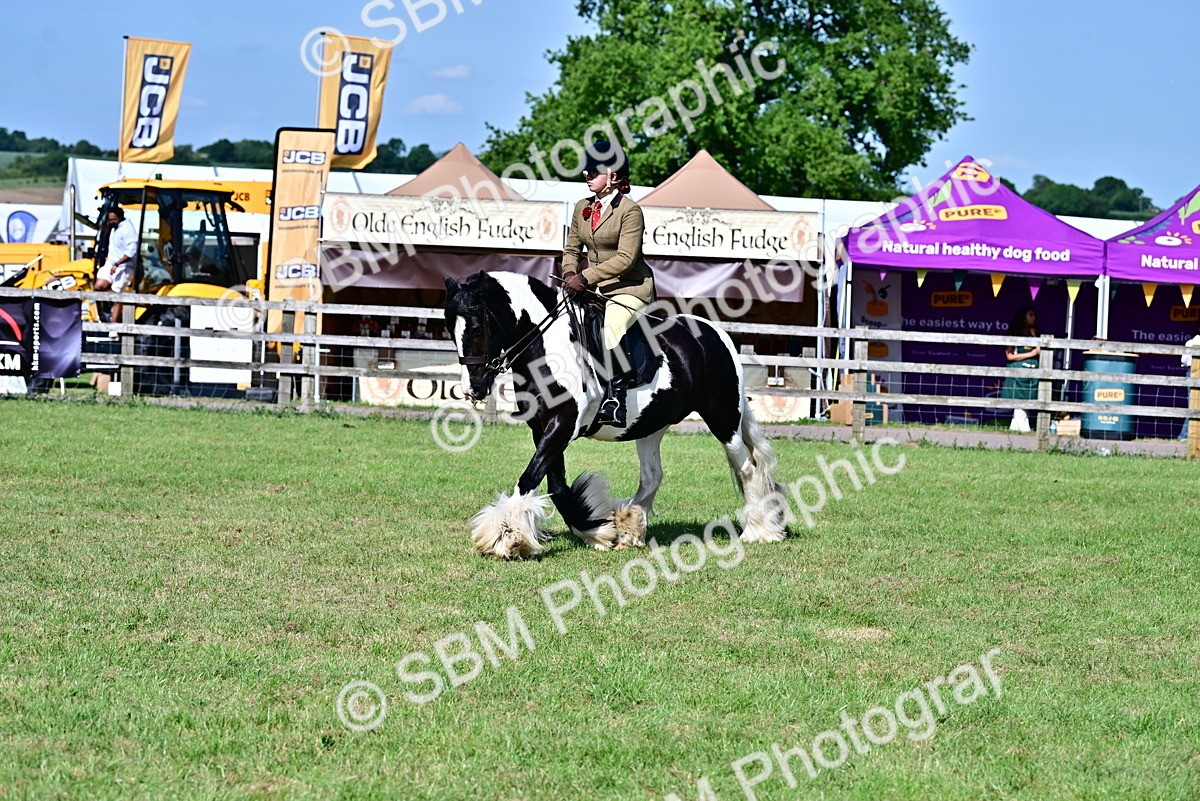SBM_09374 - Class 63-65 - Traditional Gypsy Cobs In Hand & Ridden