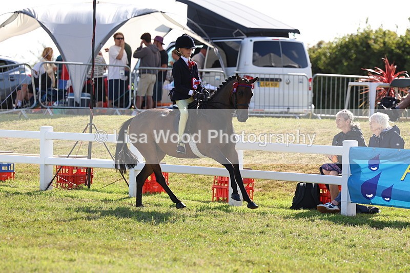 3E7A4061 - Supreme Championship